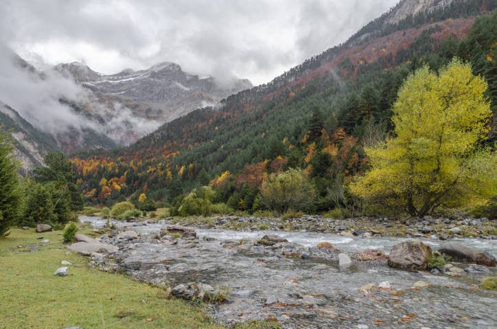 Huesca - valle de Bujaruelo 17 - rio Ara.jpg